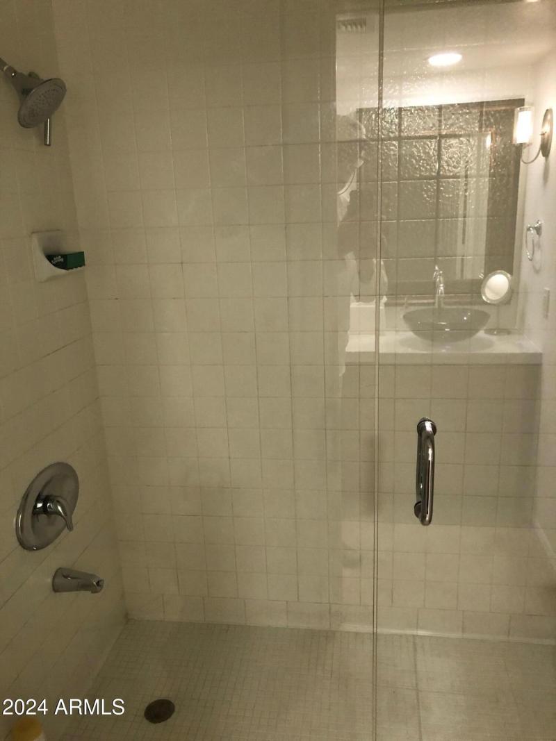 Suite 1 shower