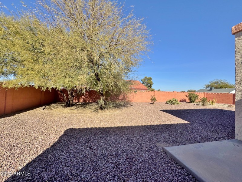 Back yard