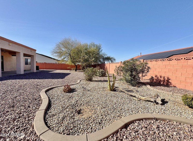 Back yard