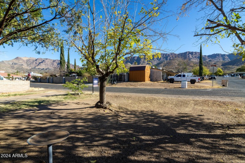 Front Yard