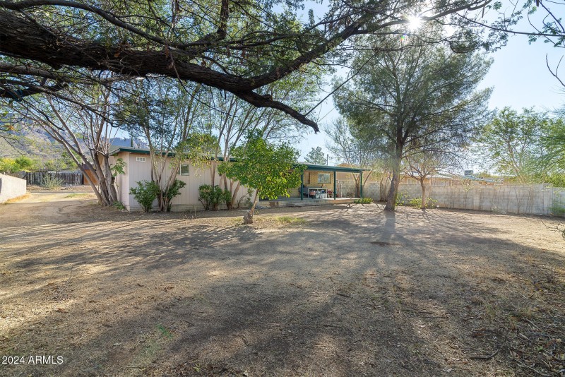 Huge Backyard