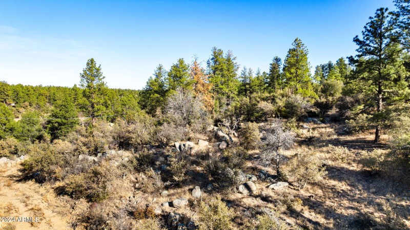 13-Lot Photo (3)