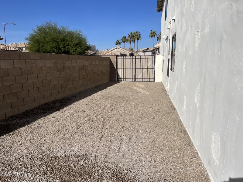 Back Yard 6