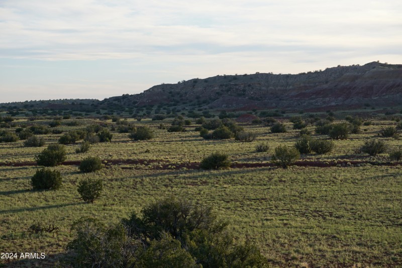 DSC04336