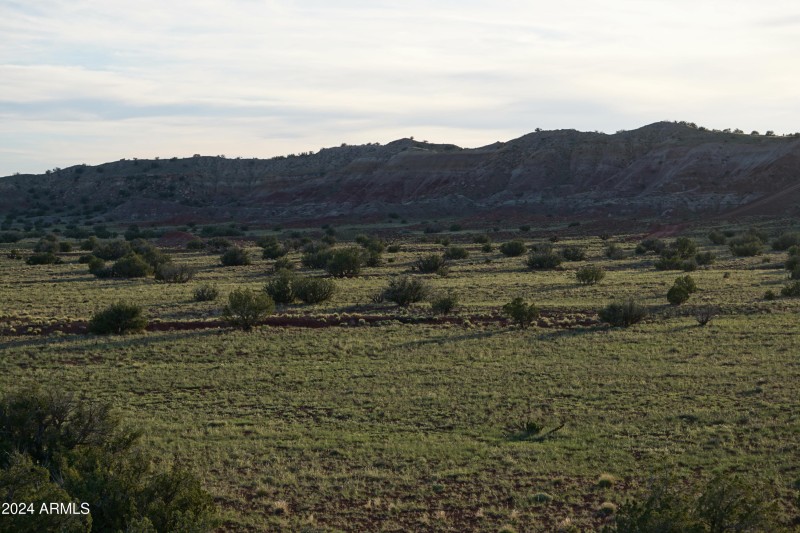 DSC04337