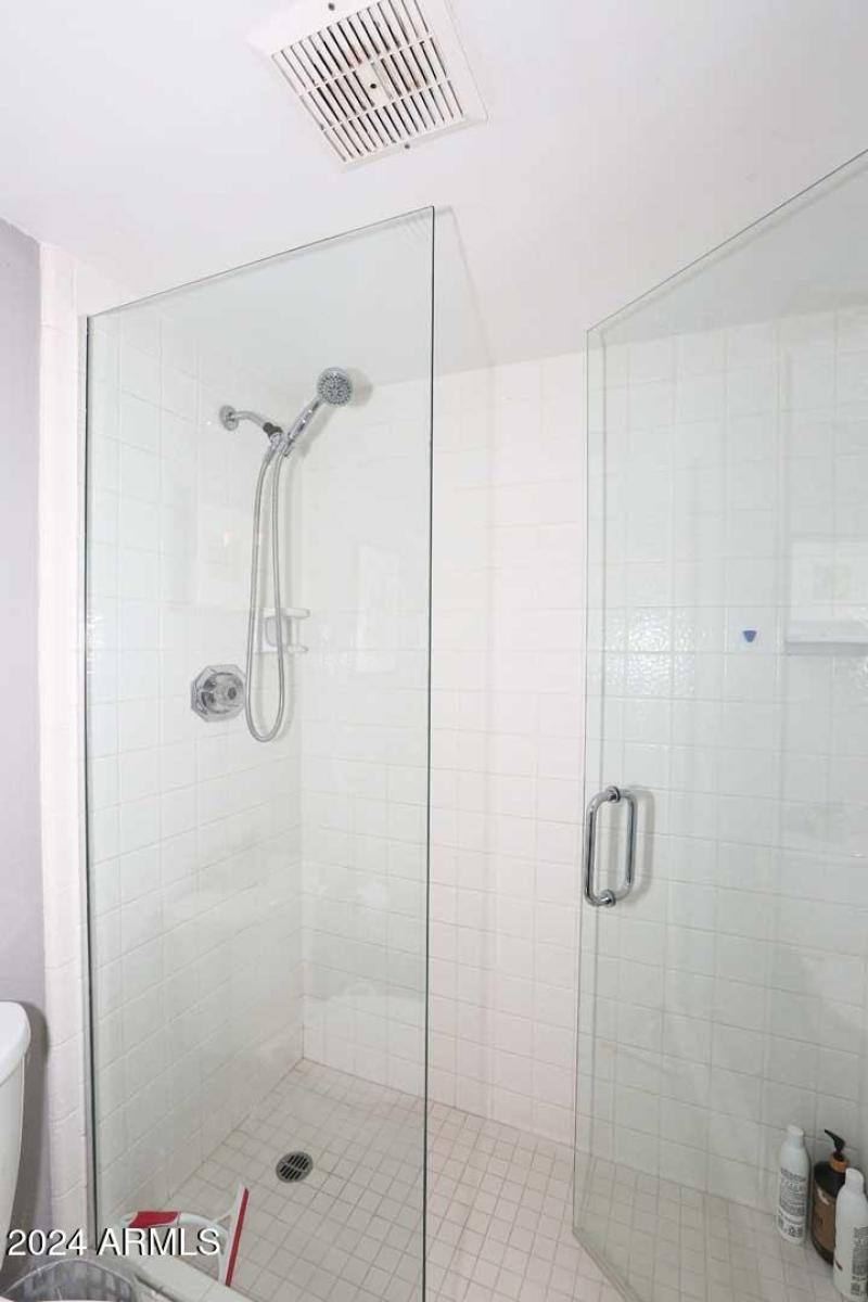 Guest Bath-Shower
