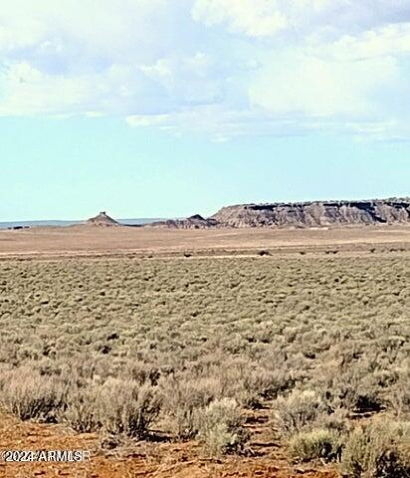 3lots.carrizo.1