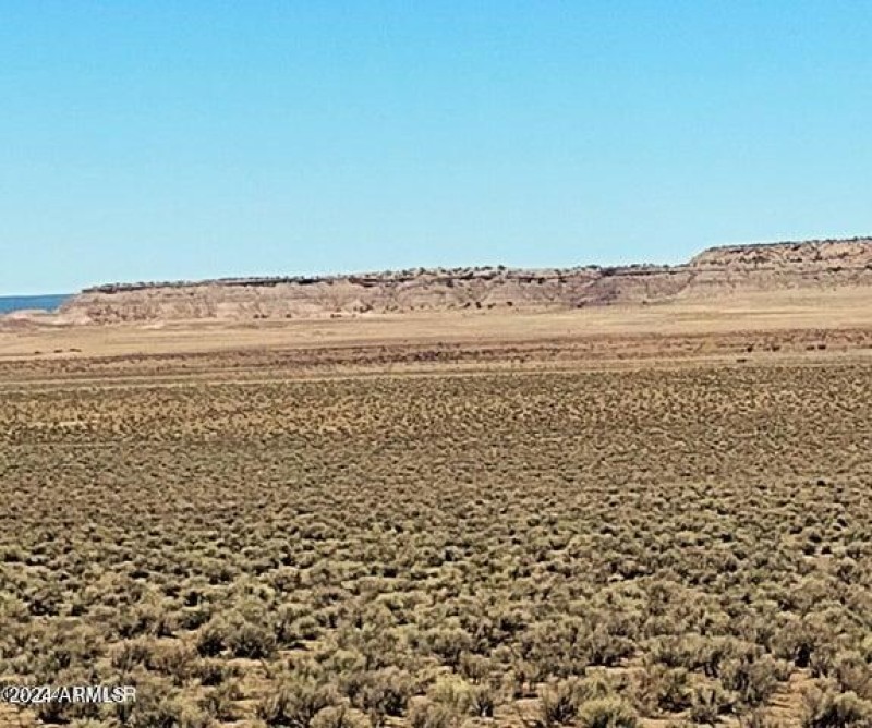3lots.carrizo.2