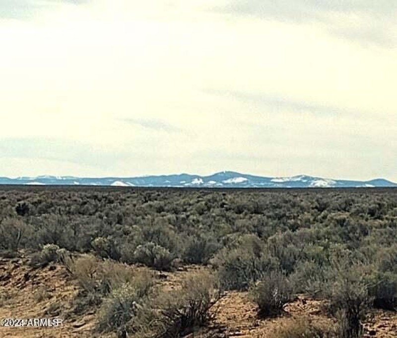 3lots.carrizo.5