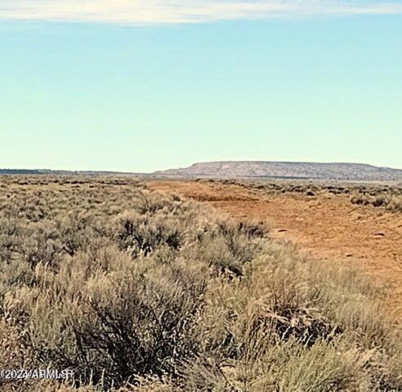 3lots.carrizo.6