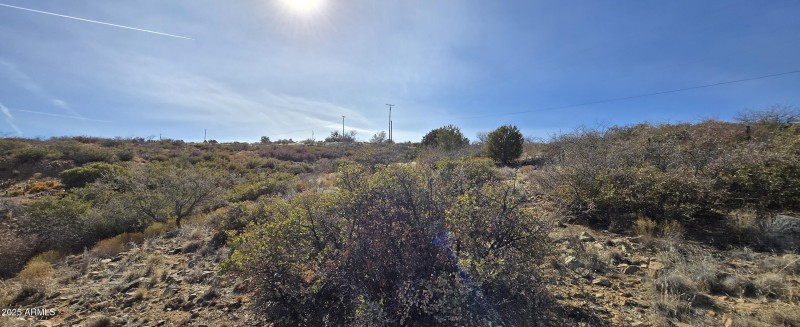 Panoramic View 8
