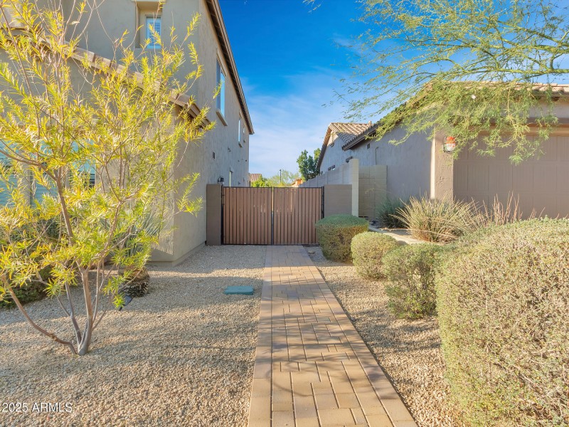 02-Side-yard