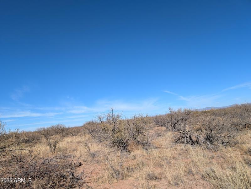 Multiple Buildable Areas