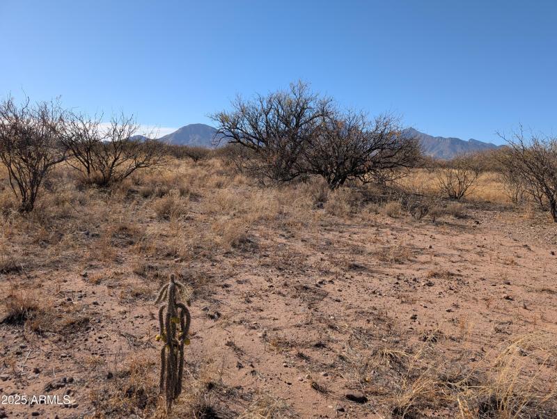 Huachuca Mountains to west