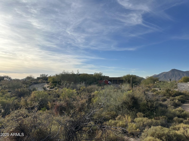 008_Desert Skies