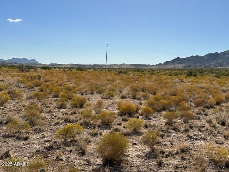 80452