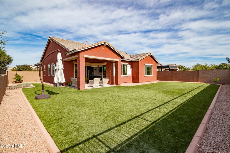 Back yard 1