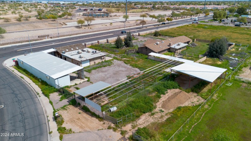 12-Ocotillo