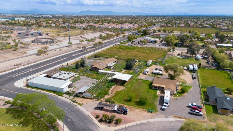 11-Ocotillo