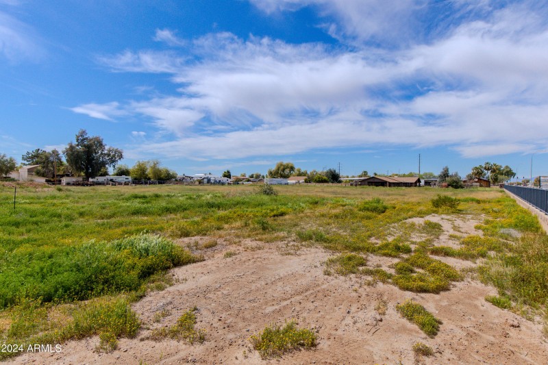 09-Ocotillo