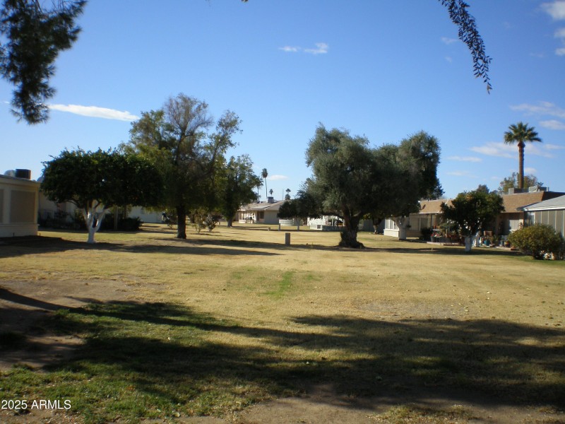 P1010134_2