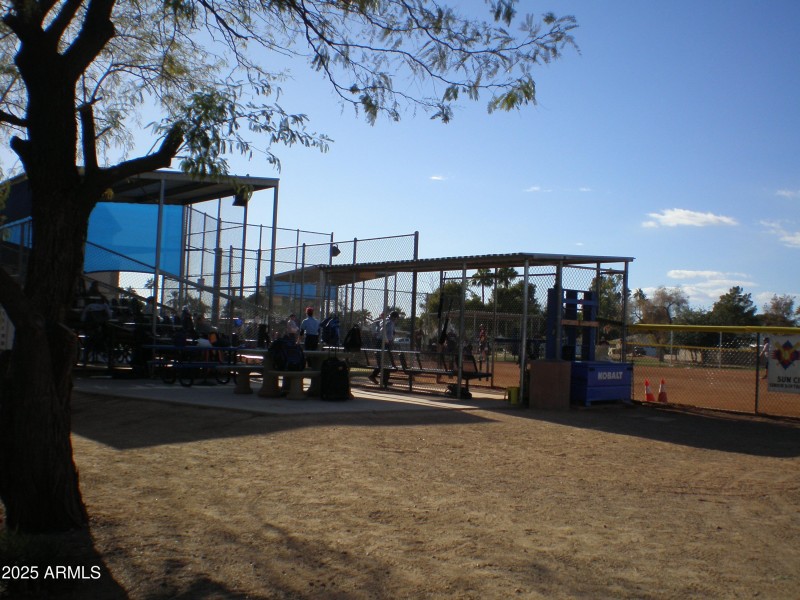 P1010165_3