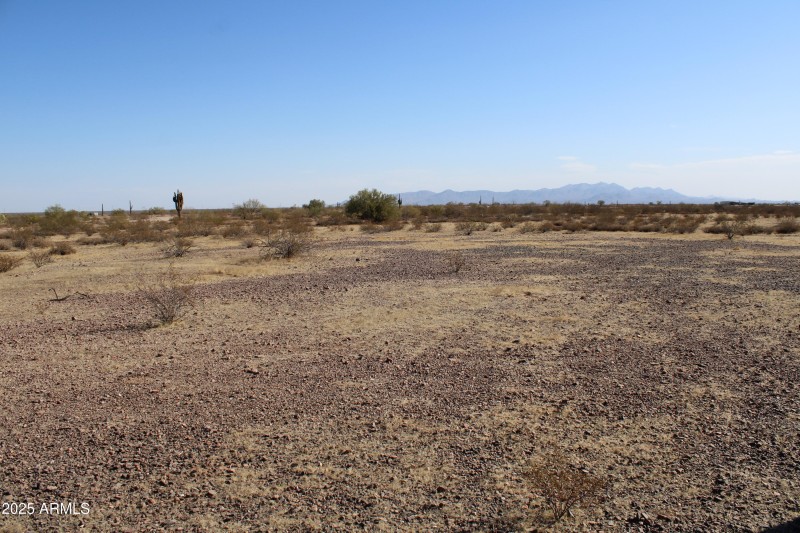 Lone Mountain 2