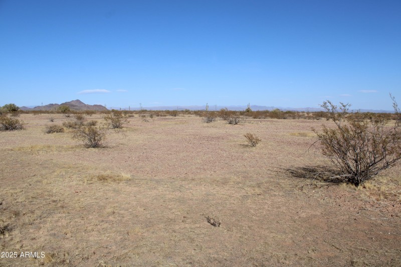 Lone Mountain 3