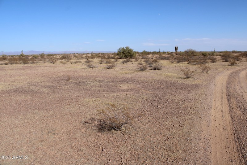Lone Mountain 7
