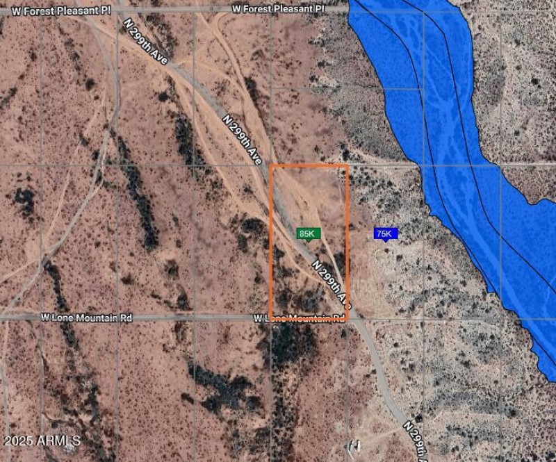 Flood Zone Visual