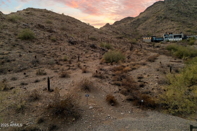 On lot looking back
