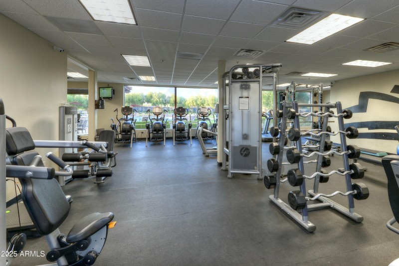 Health & Fitness