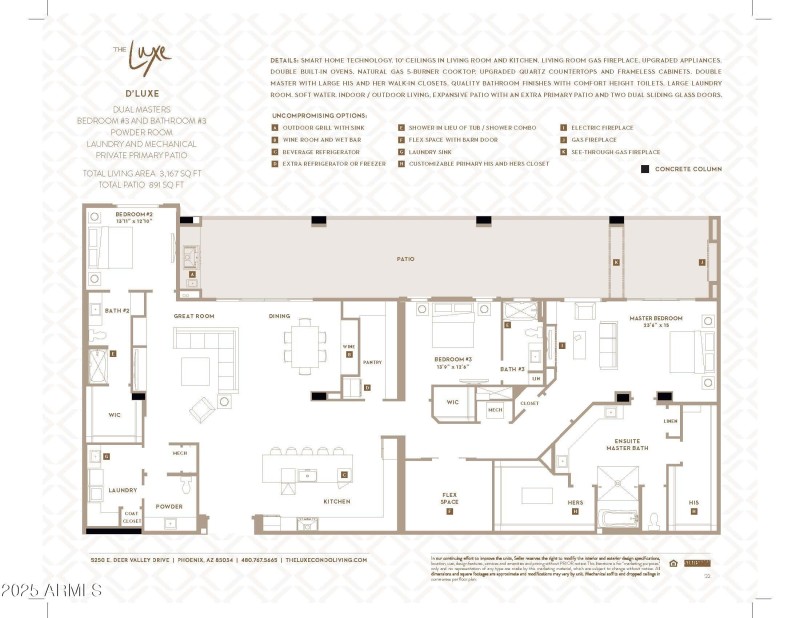 D'Luxe Marketing Plan