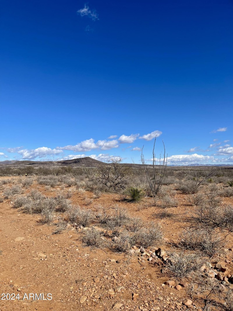 Looking North.