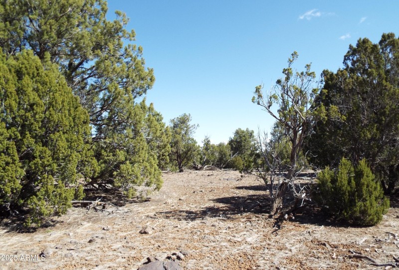 2110 Parker Ranch RD