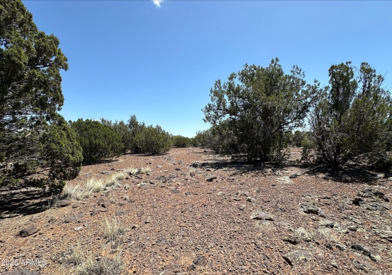 2106 Parker Ranch RD