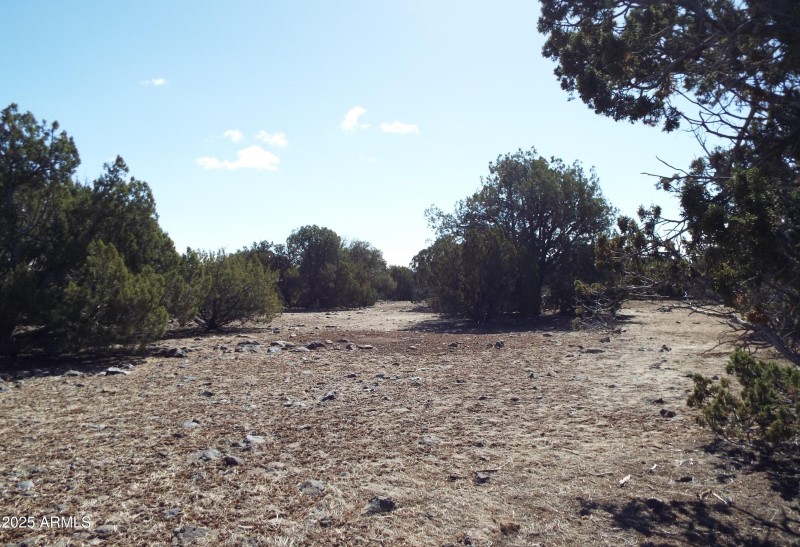 2110 Parker Ranch RD