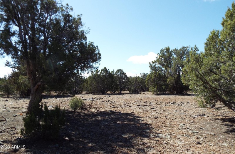2110 Parker Ranch RD