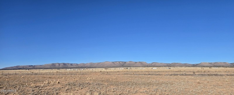 Panoramic View 3
