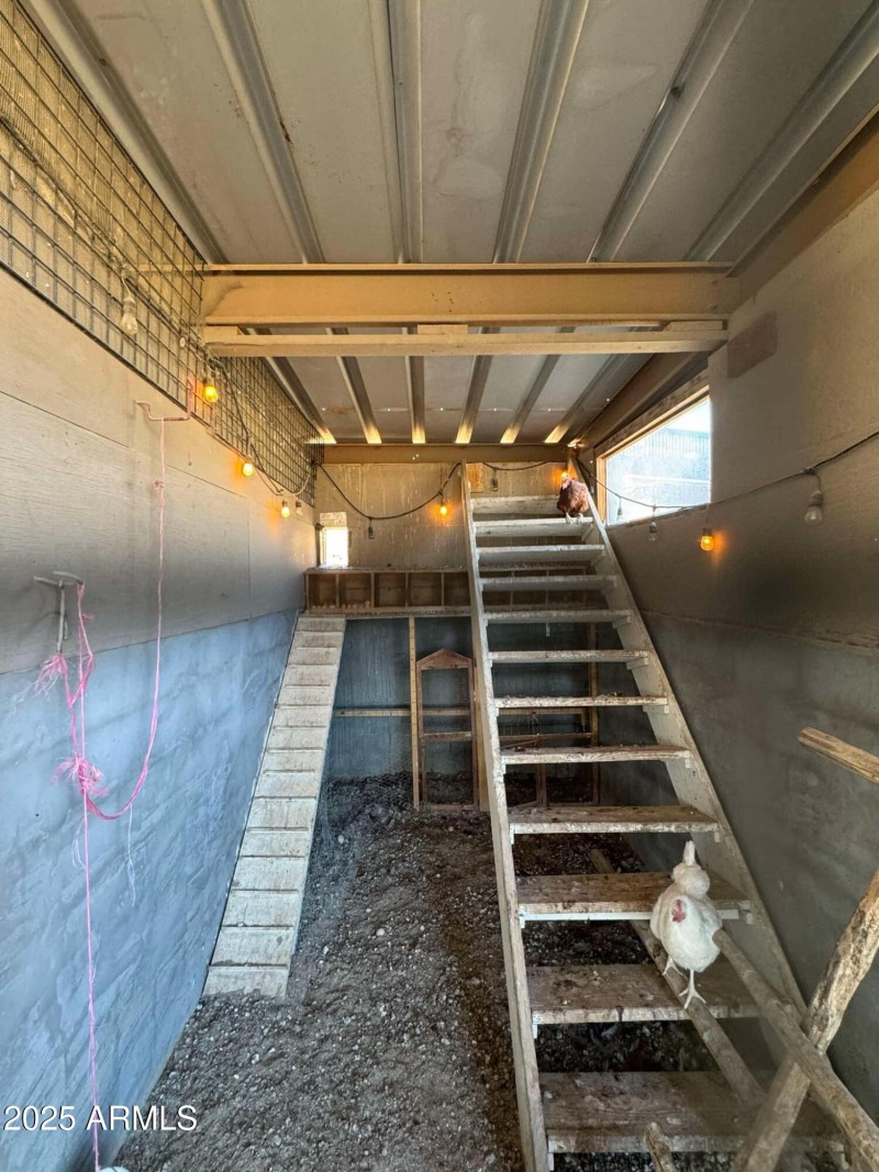 Chicken Coupe