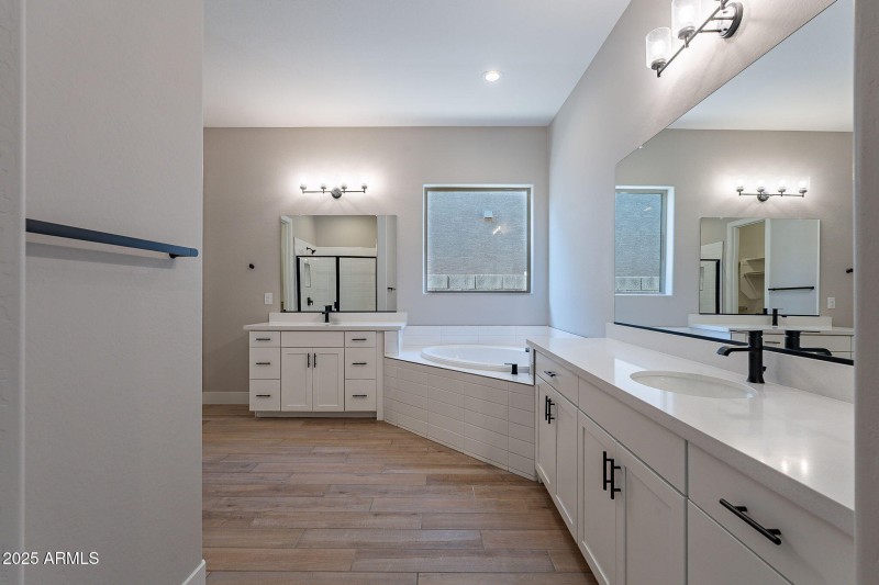 Owner's Bath