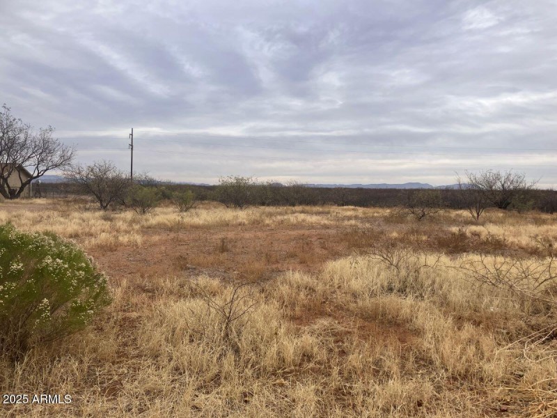 East view