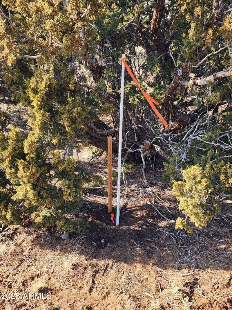 7A- NE corner of F SE corner of D