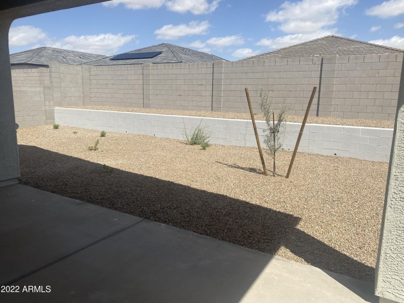 Low maintenance back yard landscape