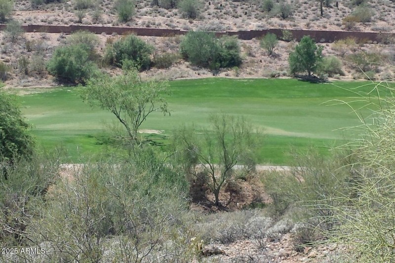 View of Fairway (2)