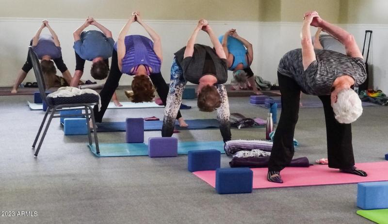 WBV Exercise Classes - Yoga