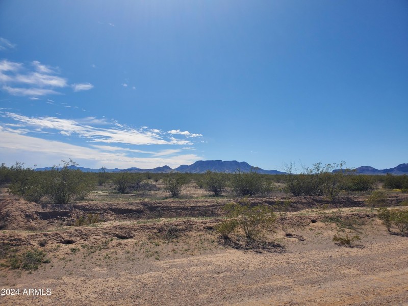 landview2