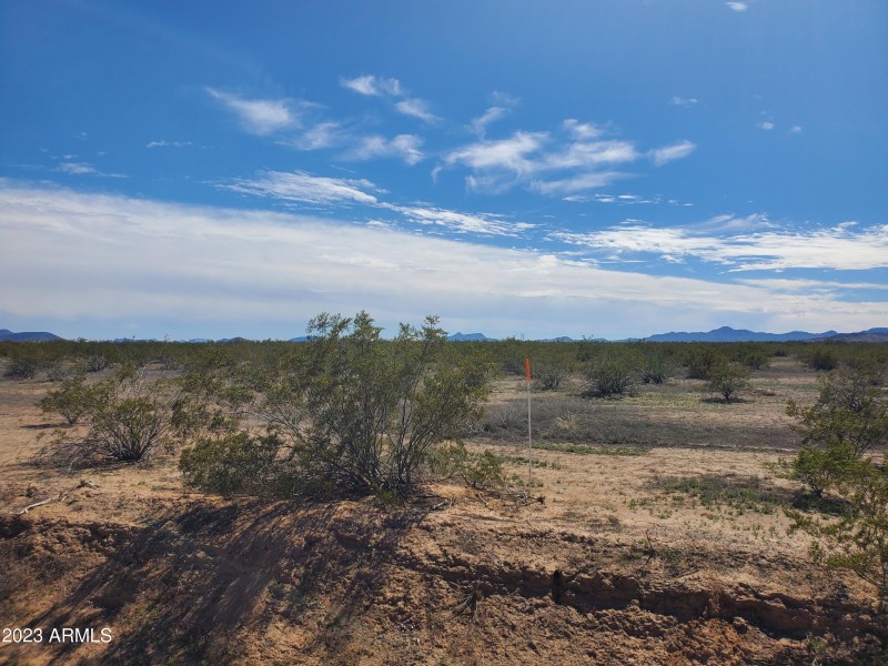 landview1
