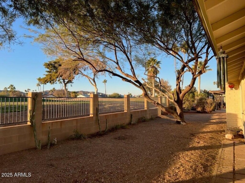 Backyard