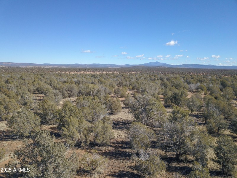 DJI_0076